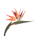 Flor artificial Strelizias Ave del Paraíso 14 x 84 cm naranja - 1