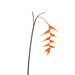 Artificial Heliconia Lobster Claws 30 x 96 cm orange - 0