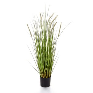 Deco lampbush grass in black pot 90 cm