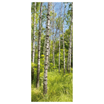 Flame-retardant fabric banner "Birch forest in spring" made of flag fabric - 0