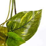 Guirnalda de hiedra artificial pothos 170 cm verde amarillo - 1