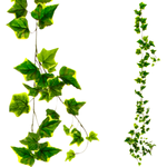 Artificial Ivy Garland 170 cm green yellow - 0