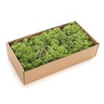 Real Natural Moss 500 g - 0