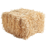 Straw bale 80 cm - 0