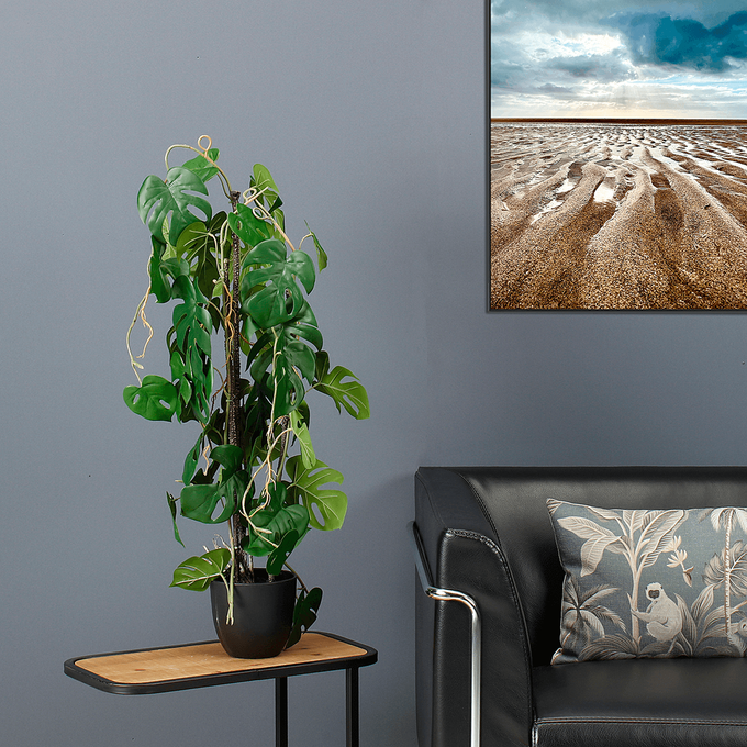 Monstera im schwarzem Topf | DecoWoerner