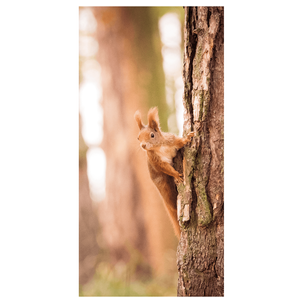 Fabric Banner Squirrel 100 x 200 cm