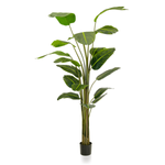 Strelizia artificial plant in pot flame retardant - 0