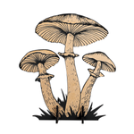 Pilz Aufsteller natur / schwarz  - 1