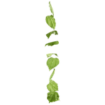 Vine birch leaves 160 cm - 3