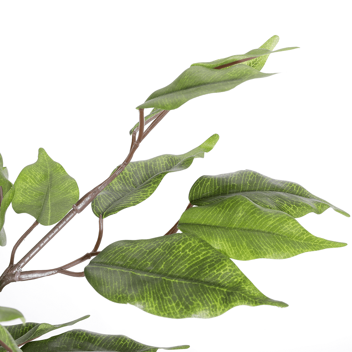 Ficus artificial en maceta  - 4 Ficus artificial en maceta  - 4