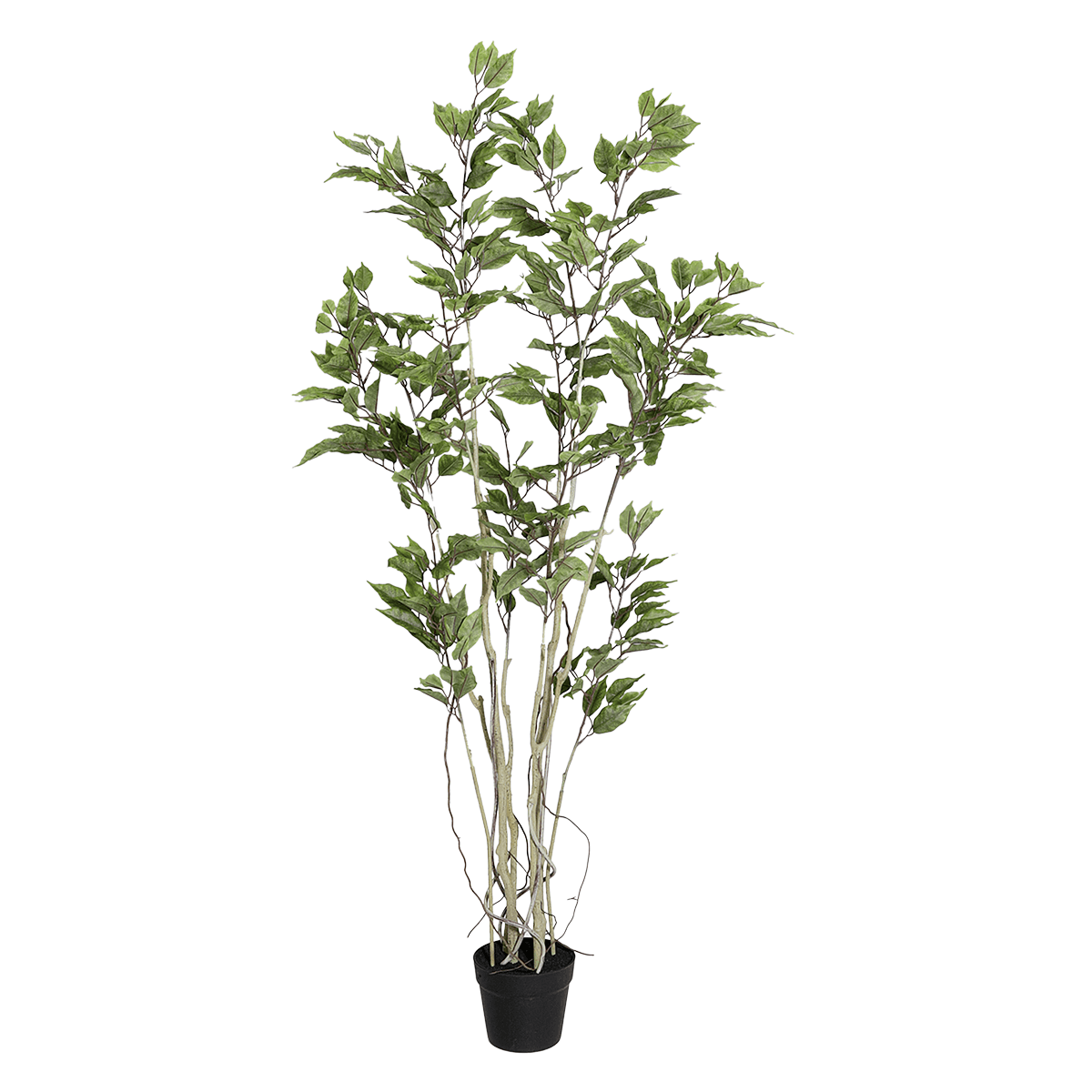 Ficus artificial en maceta  - 1 Ficus artificial en maceta  - 1