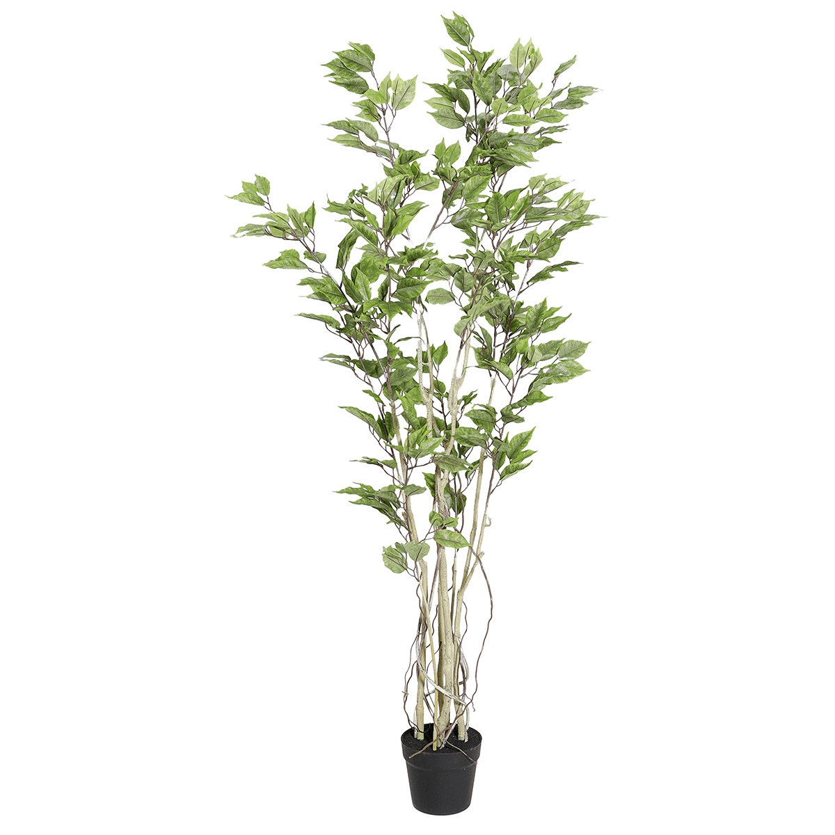 Ficus artificial en maceta  - 3 Ficus artificial en maceta  - 3