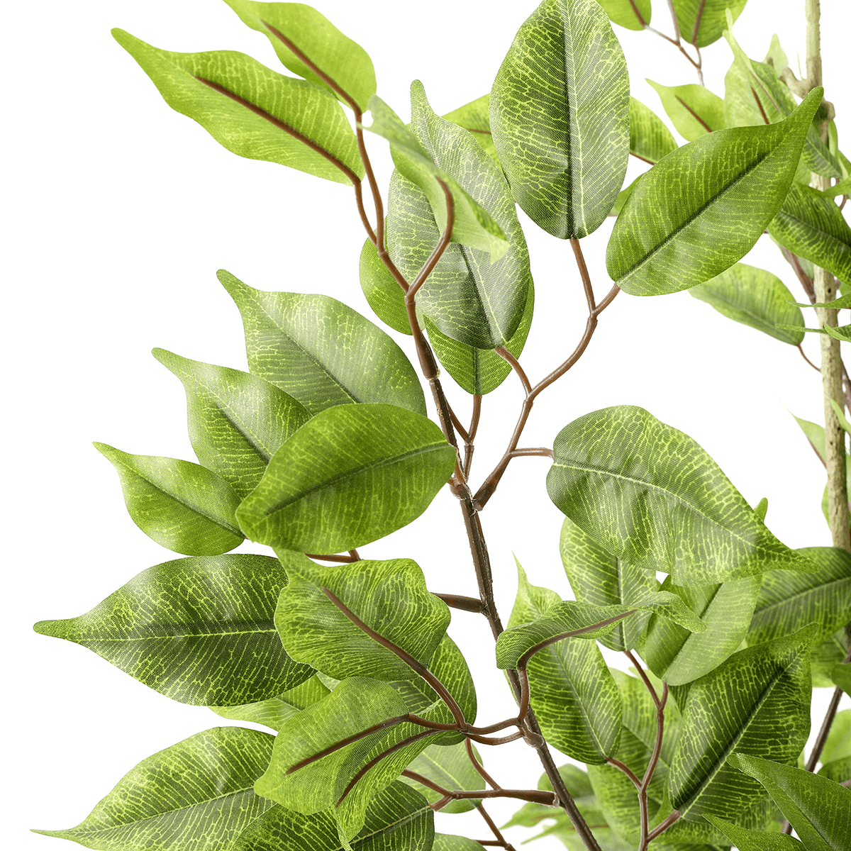 Artificial ficus tree in a pot  - 5