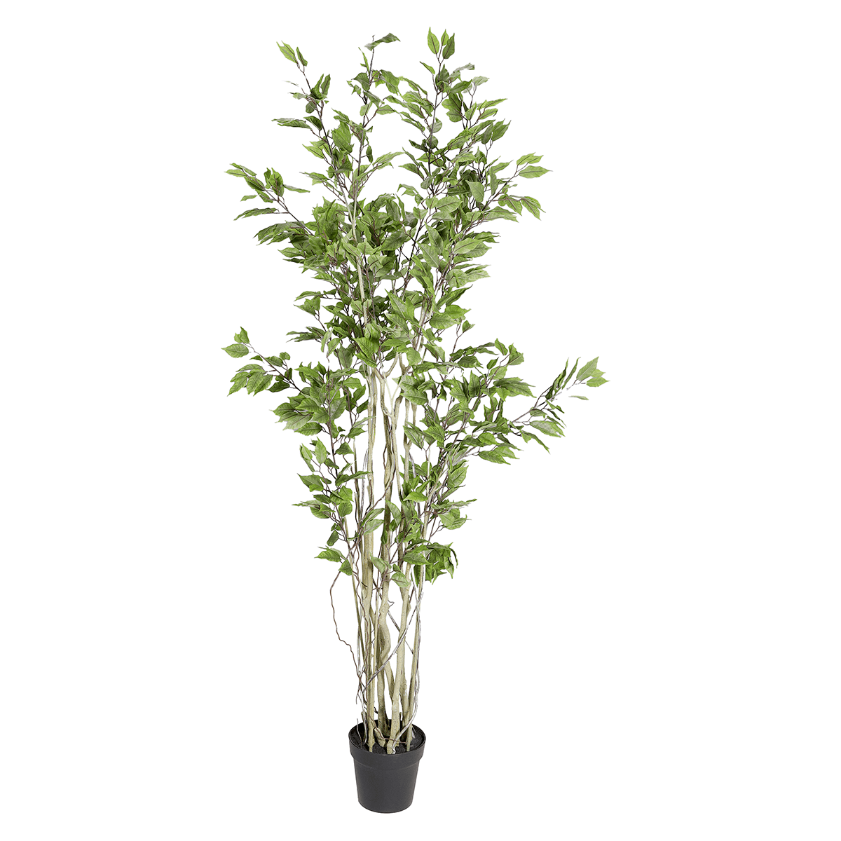 Artificial ficus tree in a pot  - 1