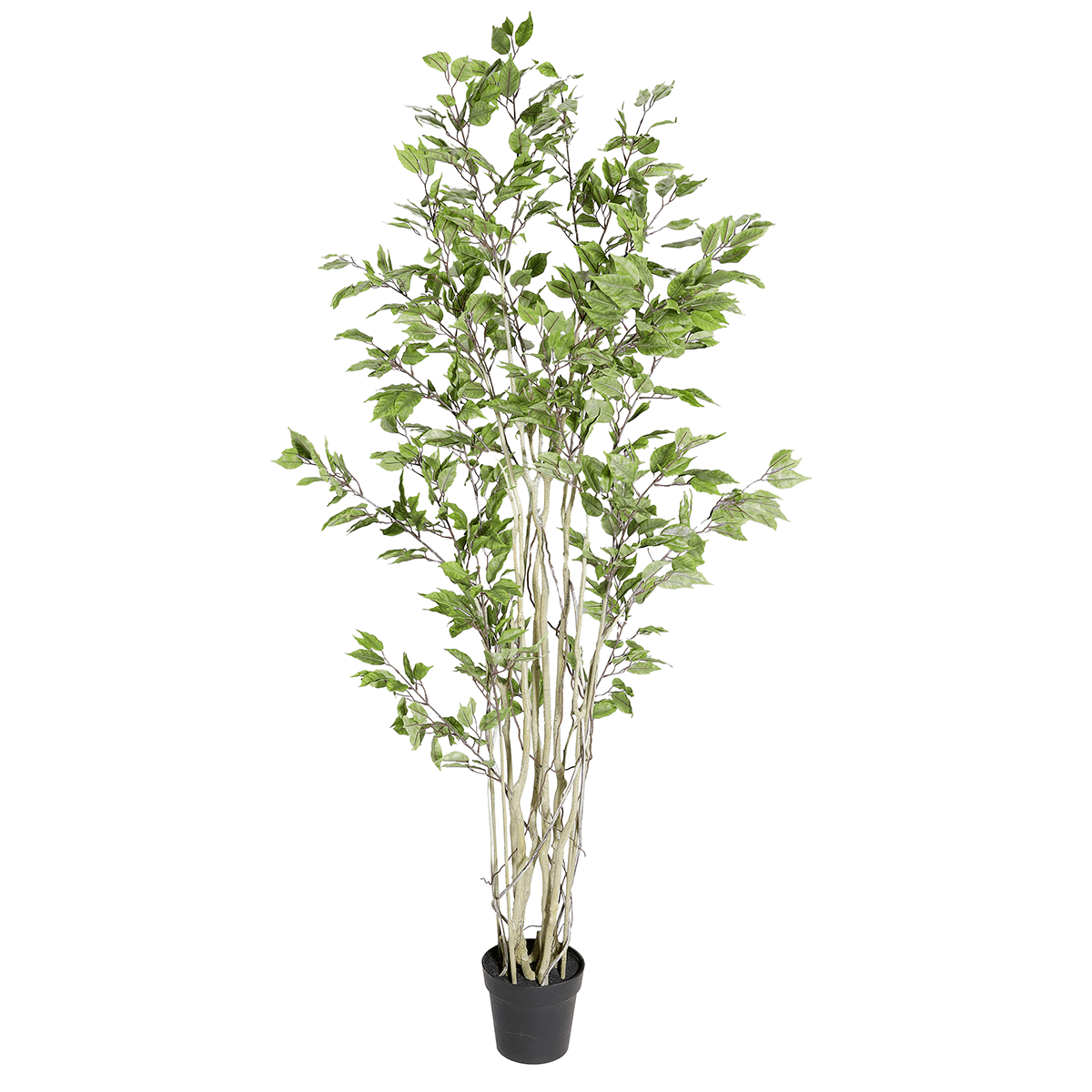 Artificial ficus tree in a pot  - 2