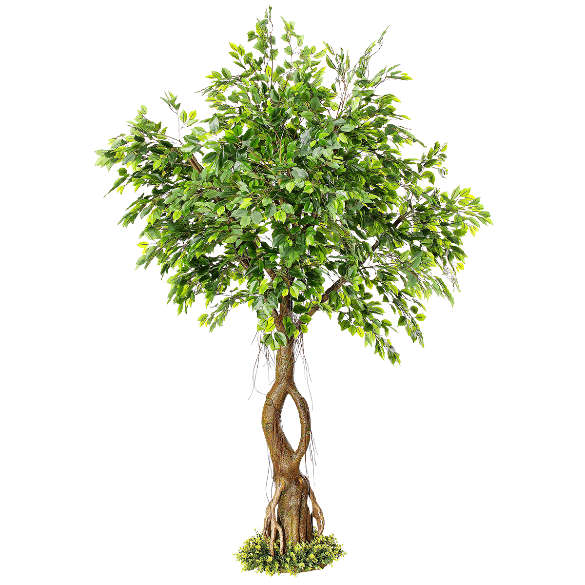 Künstlicher Ficusbaum mit Standplatte 245 cm - 1 Künstlicher Ficusbaum mit Standplatte 245 cm - 1