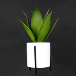 Succulente artificielle en pot blanc 27 cm - 3