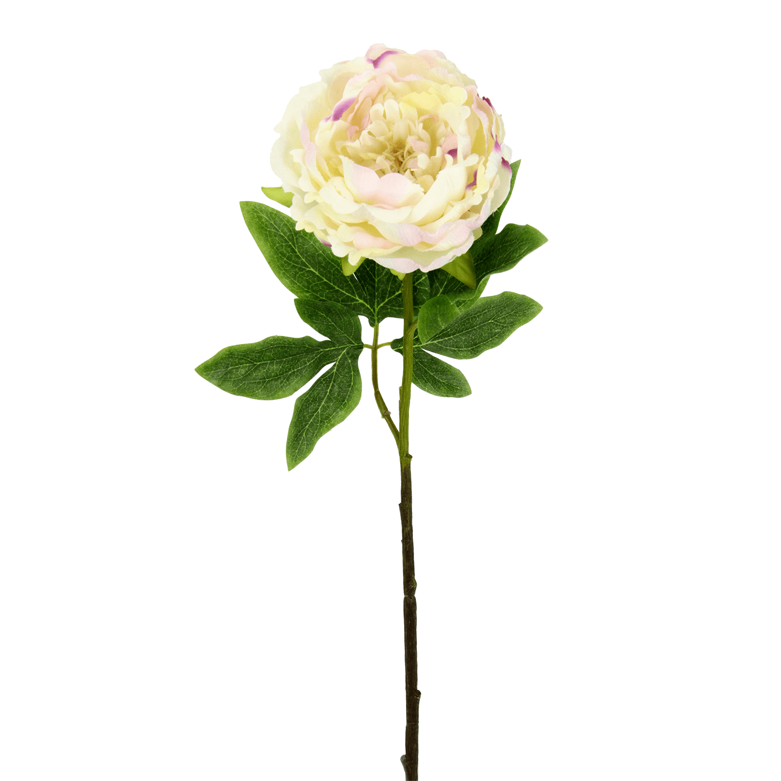 Peonía artificiales 60 cm - 0 Peonía artificiales 60 cm - 0