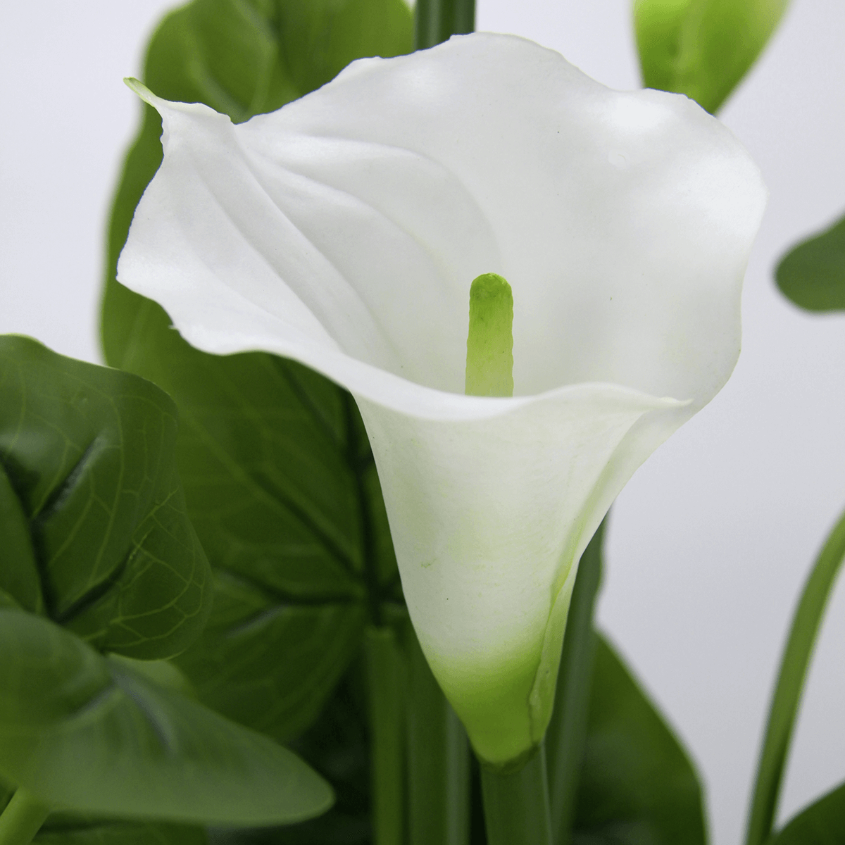 Calla planta artificial blanca en maceta - 4