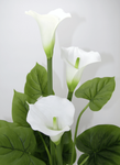 Calla planta artificial blanca en maceta - 3