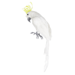 Deco parrot yellow-crested cockatoo 11 x 45 cm - 1