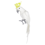 Deco parrot yellow-crested cockatoo 11 x 45 cm - 2