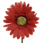 Artificial gerbera flowers in four colours - 0