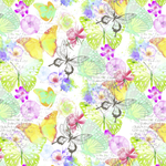 Wrapping paper butterflies, 50 cm, 50 m - 0