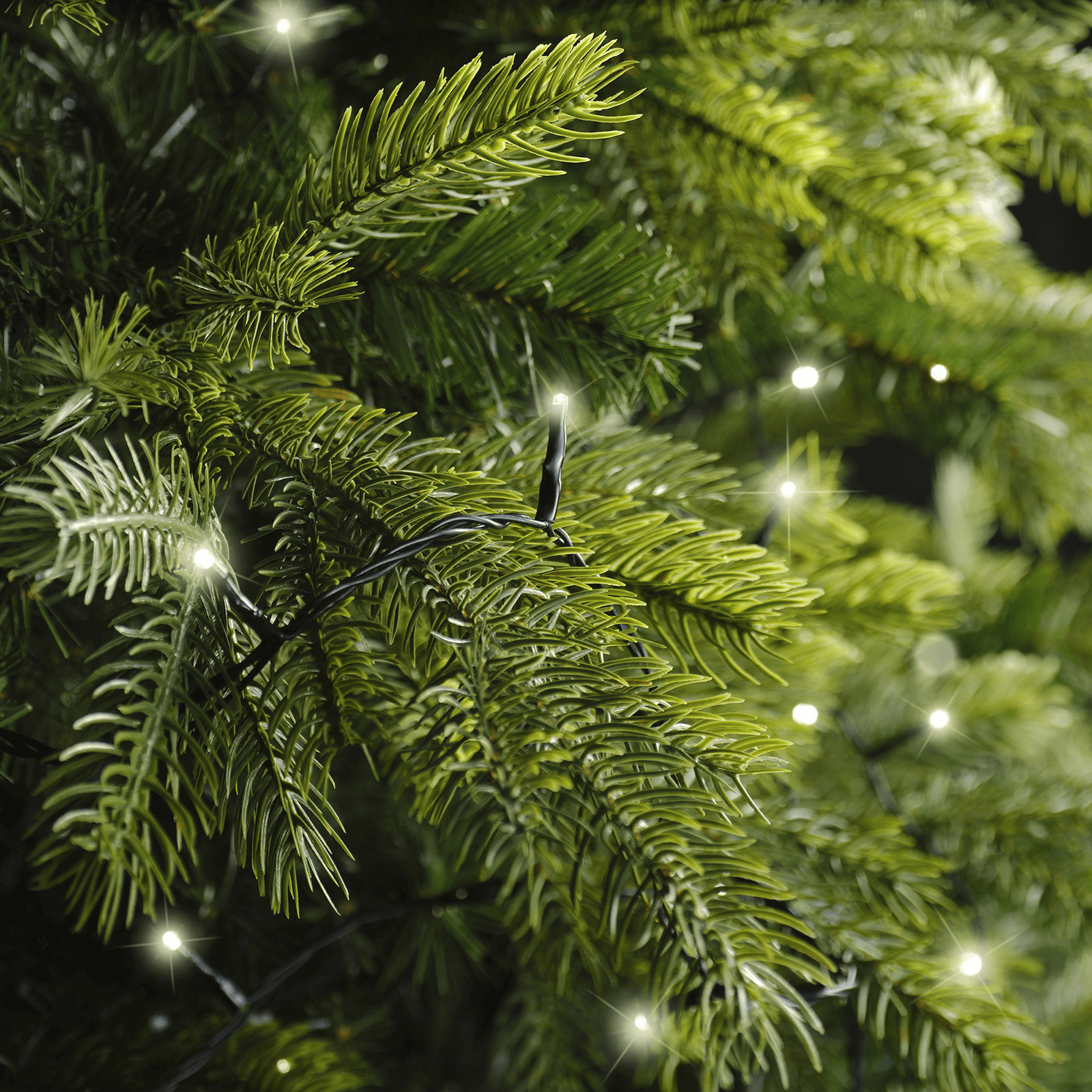 Guirlande lumineuse LED Basic, IP 44 - 5