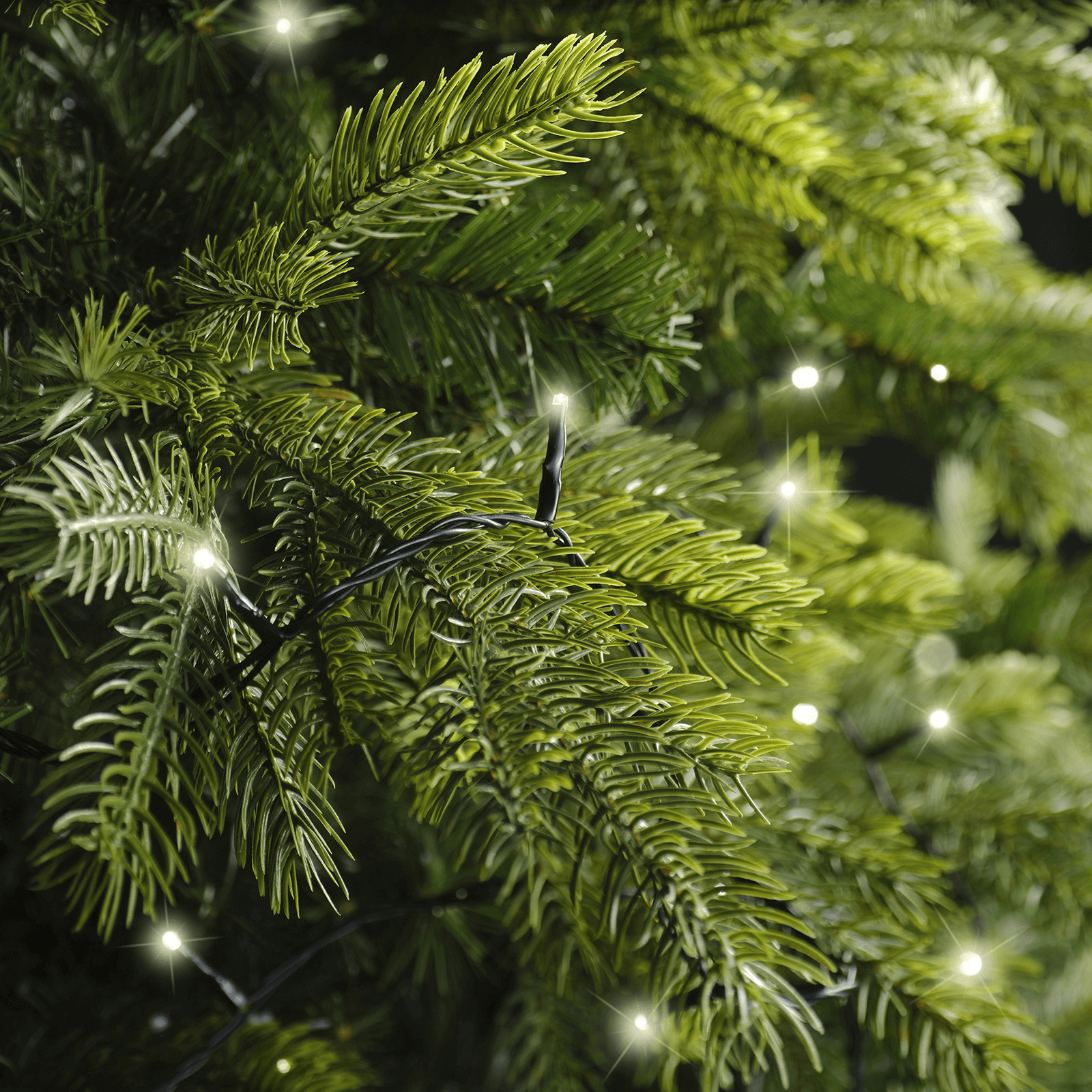 LED-Basic Lichterkette, IP44 - 5 LED-Basic Lichterkette, IP44 - 5