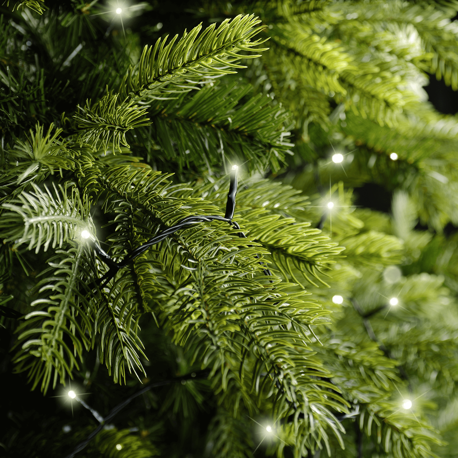 LED-Basic Lichterkette, IP44 - 2