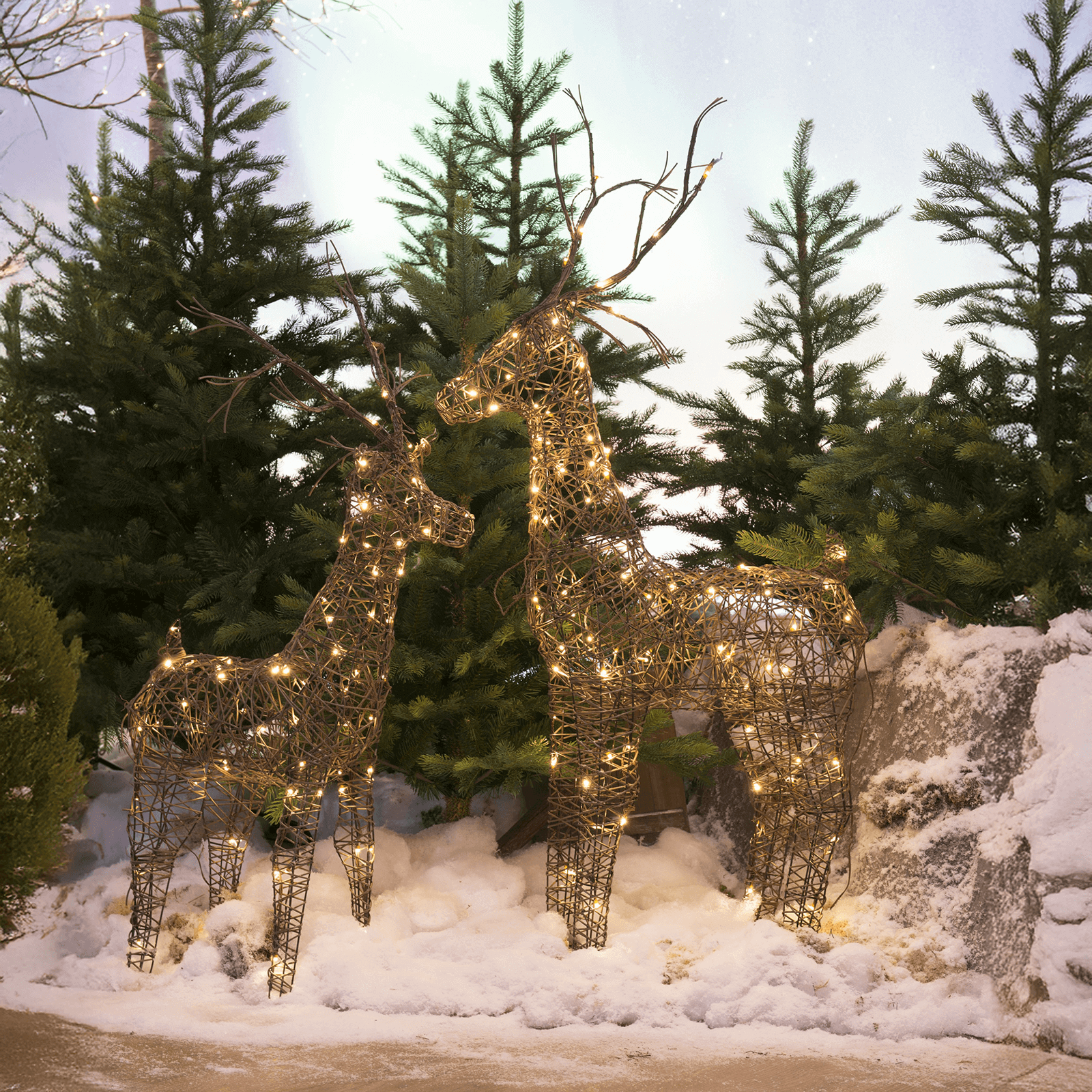 LED deer made of willow for outdoors IP44  - 3