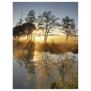 XL-Stoffbanner "Herbstnebel" aus schwer entflammbarem Fahnenstoff 150 x 200 cm