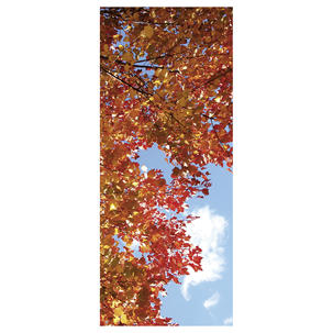 Schwer entflammbarer Stoffbanner "Herbsthimmel" 75 x 180 cm