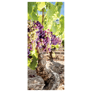 Flame retardant fabric banner "Grapevine" 75 x 180 cm