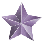 Star display hanger purple, glittered - 1