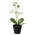 Künstliche Orchideen im schwarzen Topf 25 cm - 0