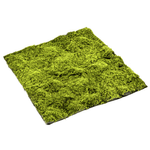 Artificial moss mat "coarse" 100x100 cm - 0