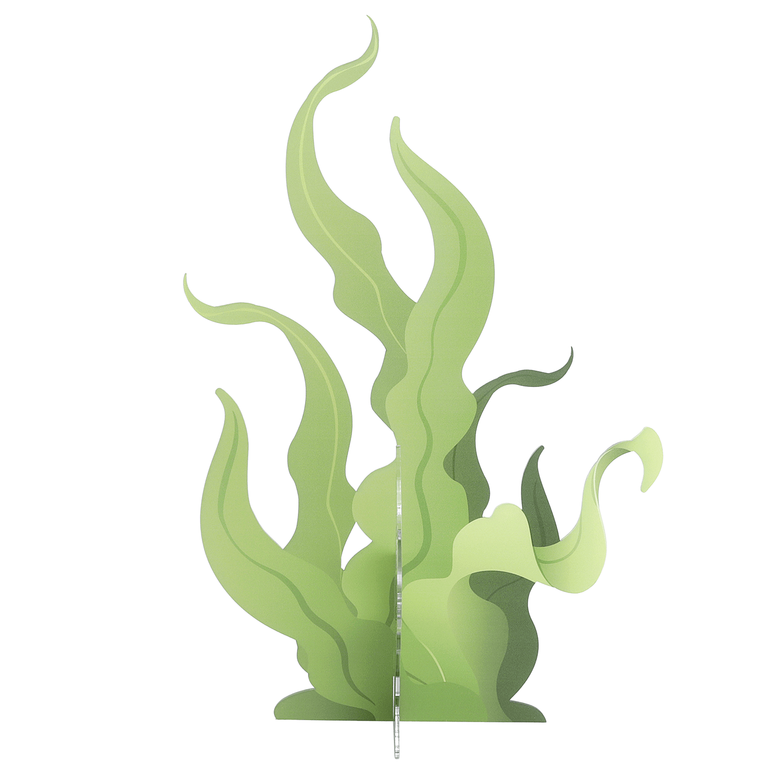Seaweed display, 52 cm high, with 3D effect - 2 Seaweed display, 52 cm high, with 3D effect - 2