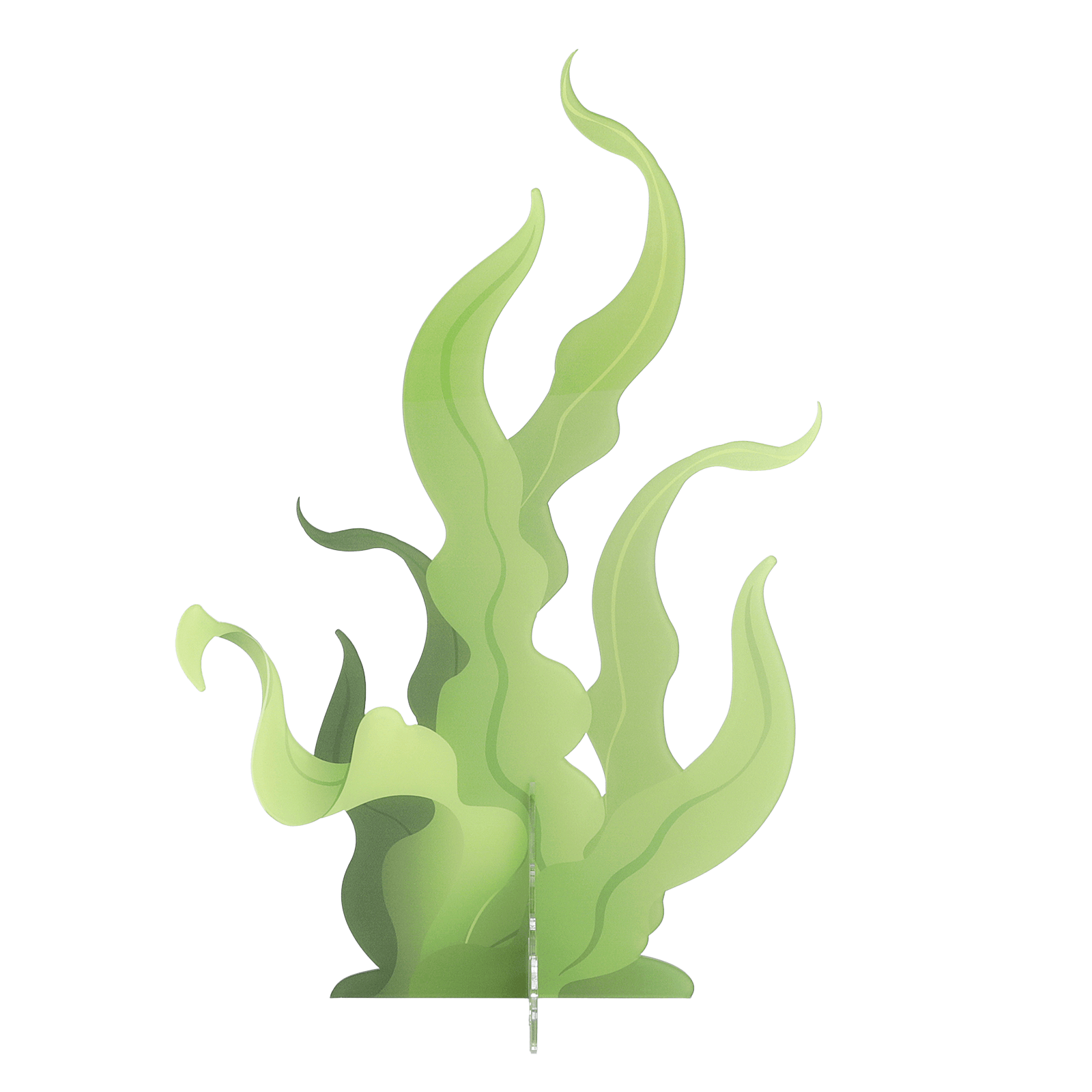 Seaweed display, 52 cm high, with 3D effect - 3 Seaweed display, 52 cm high, with 3D effect - 3