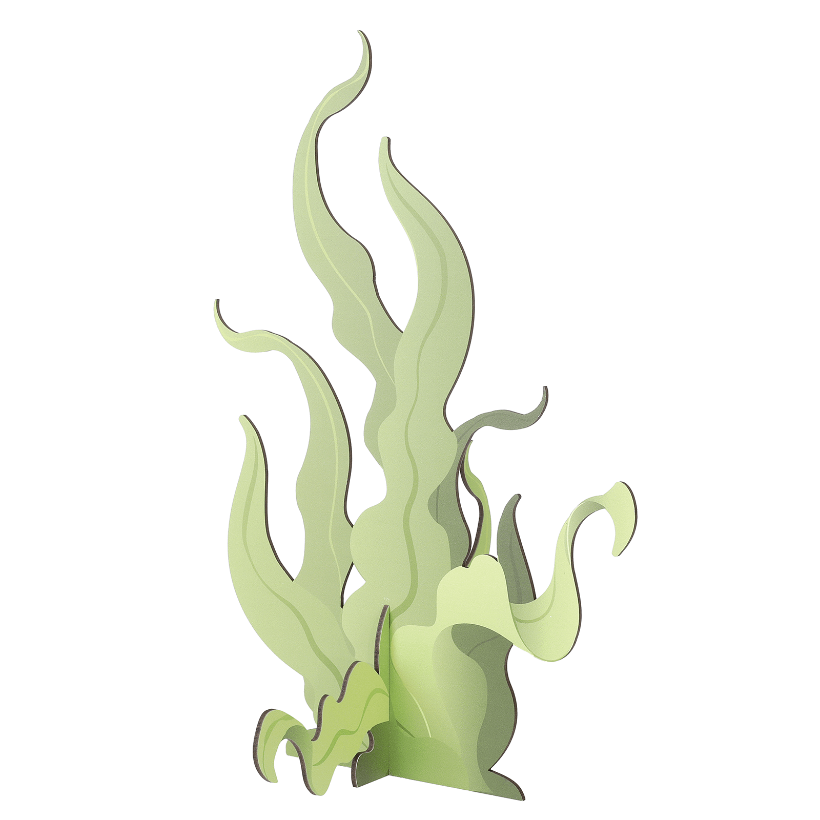 Seaweed display, 52 cm high, with 3D effect - 1 Seaweed display, 52 cm high, with 3D effect - 1
