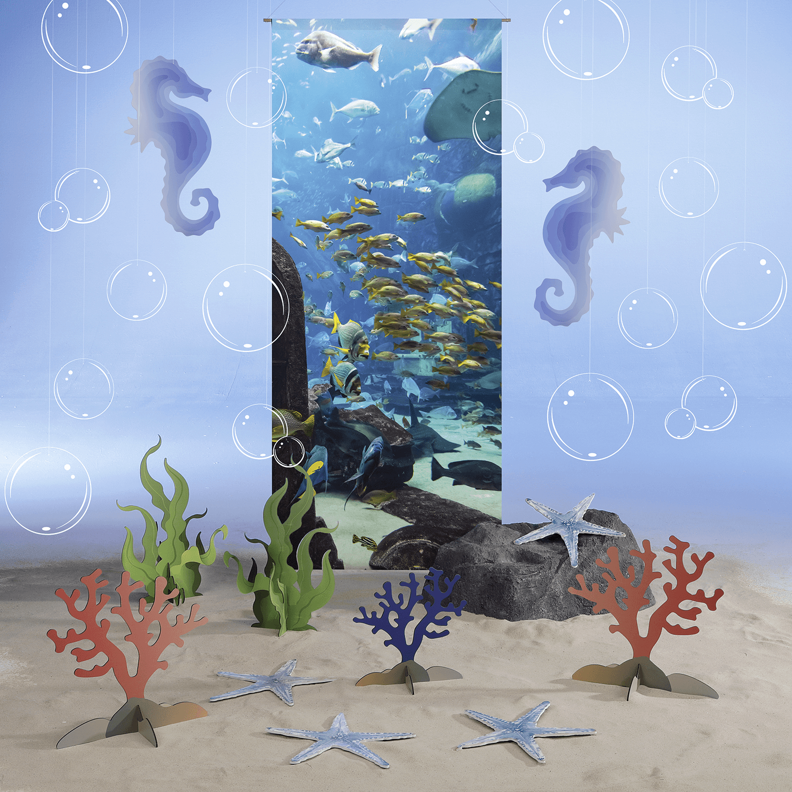Seaweed display, 52 cm high, with 3D effect - 4 Seaweed display, 52 cm high, with 3D effect - 4