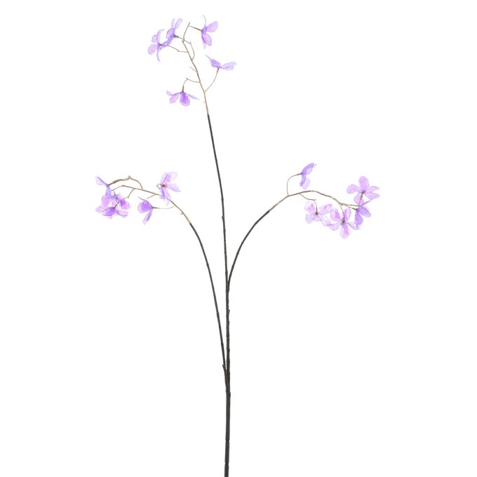 middleImage