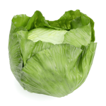 Lechuga 17 cm - 1