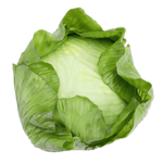 Lechuga 17 cm - 0
