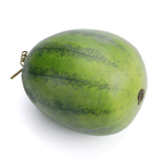 Sandía 26 cm - 1