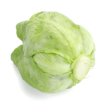 Eisbergsalat grün 14 cm - 0