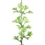 Parsley garland 2 m - 1