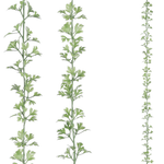 Parsley garland 2 m - 0