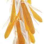 Trenza de maíz 50 cm - 1